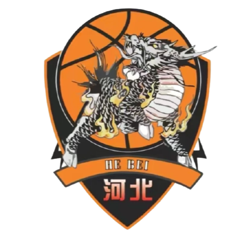 明尼苏达森林狼